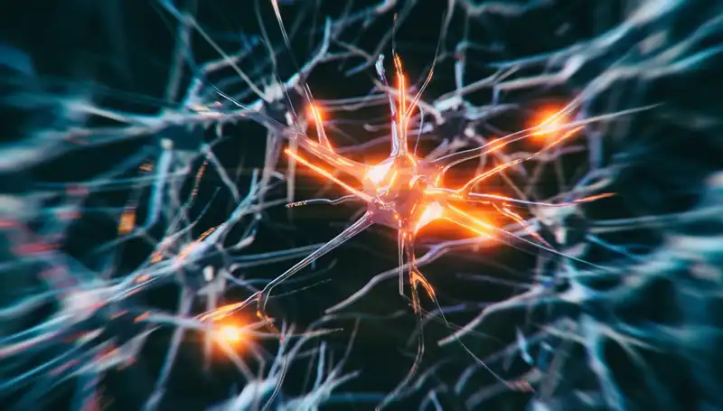 Alzheimer Vakalarının Artışı: Nedenleri ve Gelecekteki Etkileri