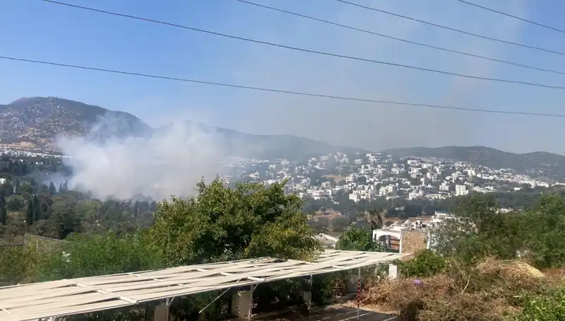 Muğla'daki Orman Yangınları Kontrol Altında: Son Durum ve Gelişmeler