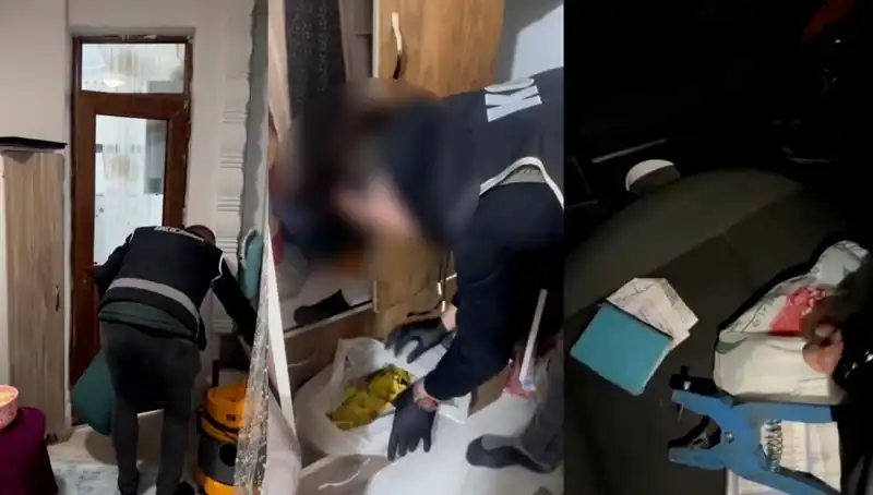 Hayvan Sevk Belgesi Usulsüzlüğü İddiasında Büyük Operasyon: Dokuz Kişi Gözaltında