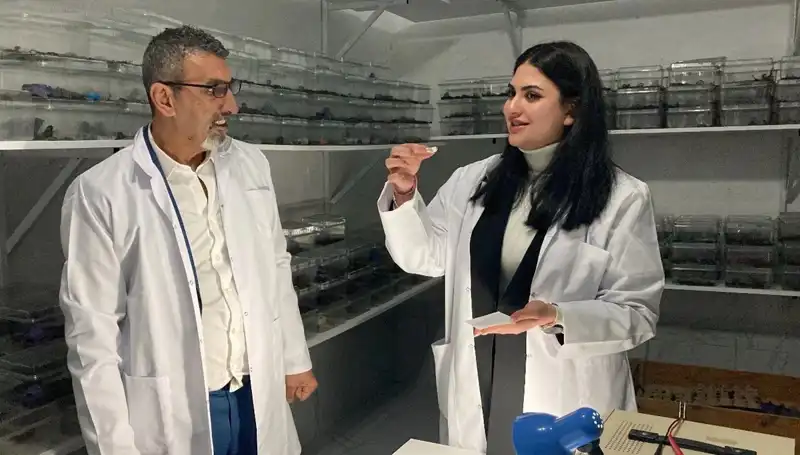 Akrep Zehri Şekerle Buluşuyor: Bu Eşsiz Lezzetin Sırları Neler?