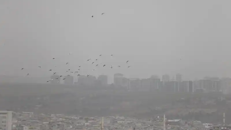 Şanlıurfa'da Toz Bulutu Alarmı: Hava Kalitesi Düşüyor!