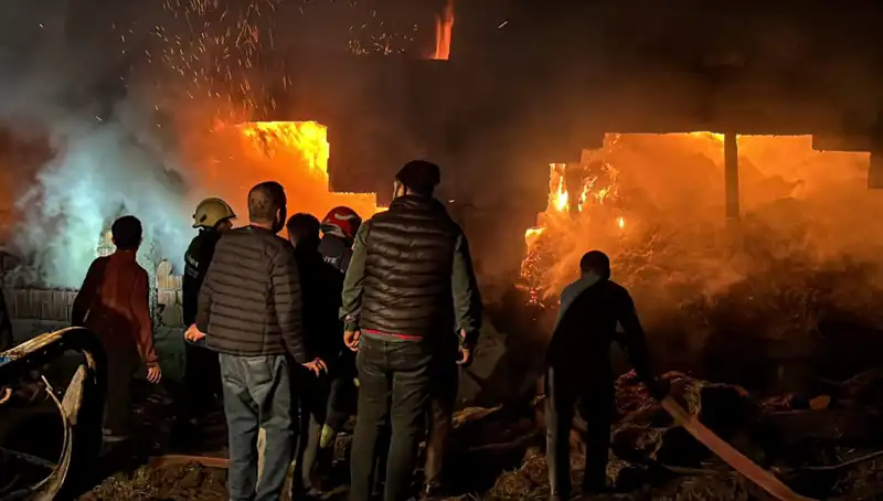 Bolu’da Korkutan Ahır Yangını: Yangın Söndürüldü, Hayvanlar Kurtarıldı