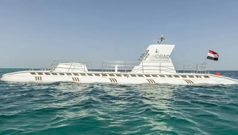Kızıldeniz'de Facia: 44 Turist Taşıyan Denizaltı Battı, Can Kaybı ve Kurtarma Çalışmaları