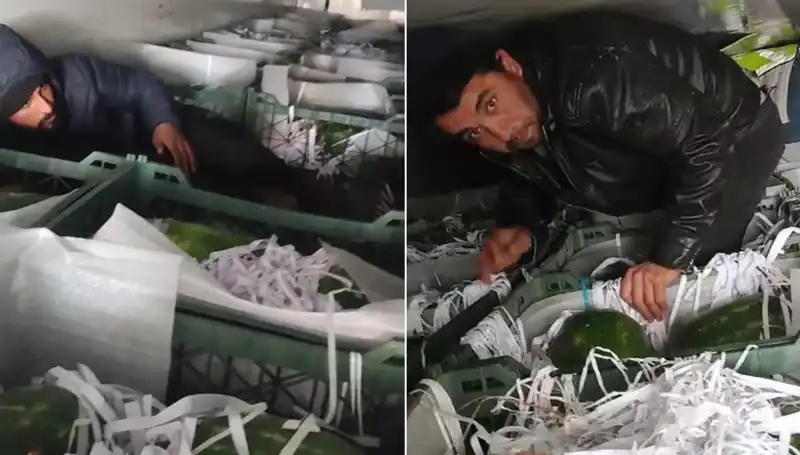 Karpuzların Arasında Saklanan Göçmenler, İtalya’da Şok Yaratı
