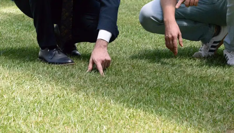 Stadyum Zemini İçin Son Hazırlıklar: 10 Gün İçinde Tamamlanacak mı?