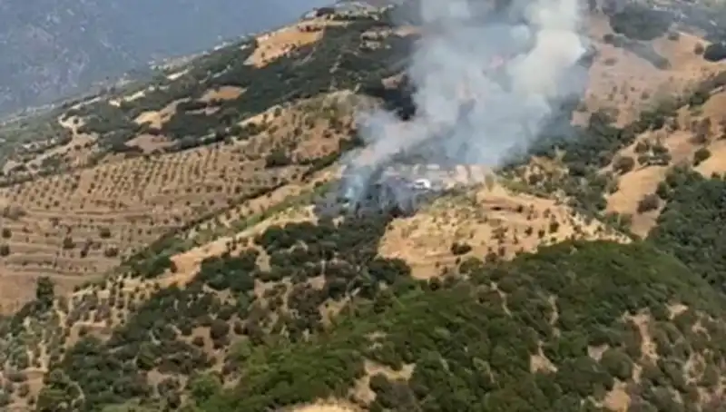 Aydın’da Cennet Gibi Zeytinlikler Alev Alev! Yangının Arkasında Neler Var?