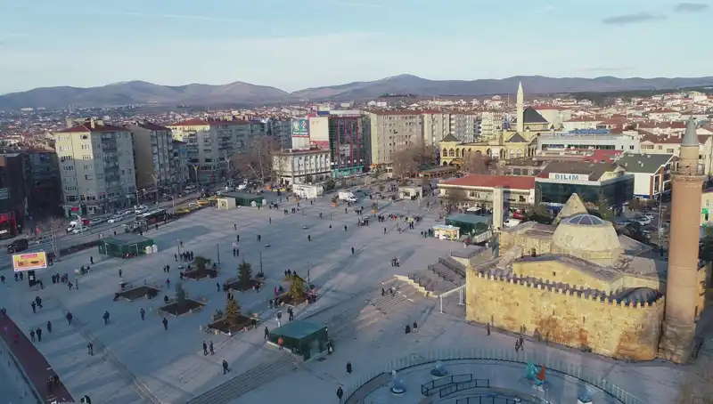 Kırşehir’de Bilim Dünyasını Şaşkına Çeviren Yeni Bir Böcek Türü Keşfedildi