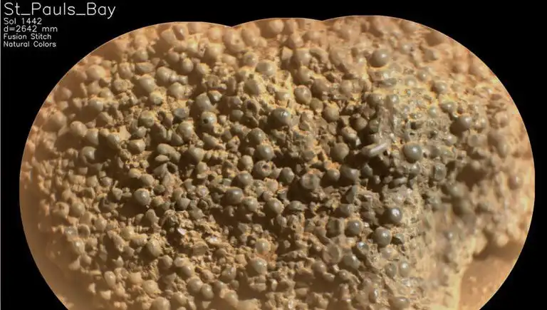Mars'ta Gizemli "Örümcek Yumurtaları" Keşfi: Bilim Dünyasını Sarsan Bulgular