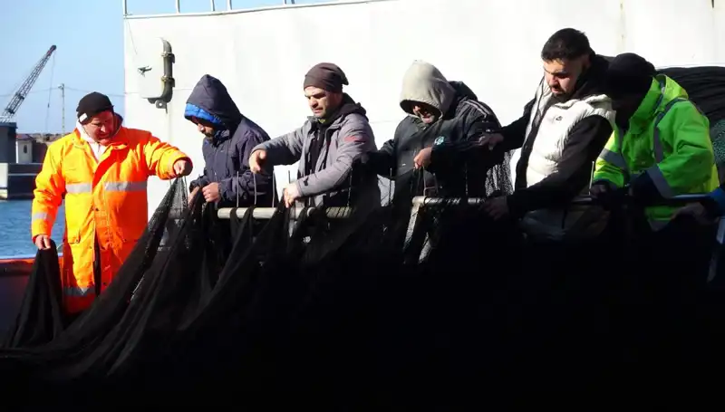 Hamsi Avında Beklenmedik Kriz: Balıkçılar Erken Sezonu Kapattı
