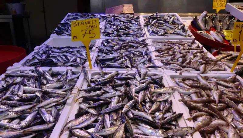 Balık Avı Tutkunlarının Yüzü Kışın Son Günlerinde Gülmeyecek!