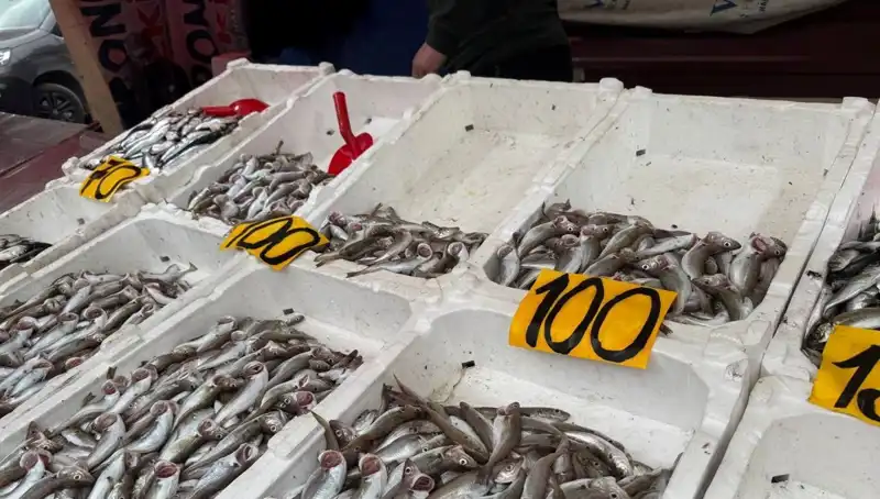 Balık Fiyatlarında Şok Düşüş: Restoranlar Müşterilerine Ücretsiz Balık İkram Ediyor!