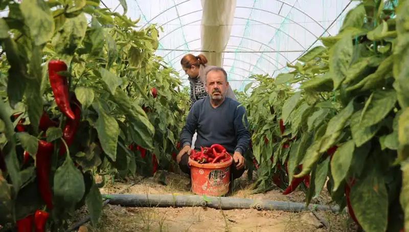 Fiyatlar Uçuşta: 50 TL Olan Ürün 80 TL'ye Satılıyor!