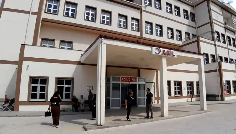 Bolu’da Ayı Avı Kararı: Doğa Koruma mı, Hızla Artan Sorunlar mı?
