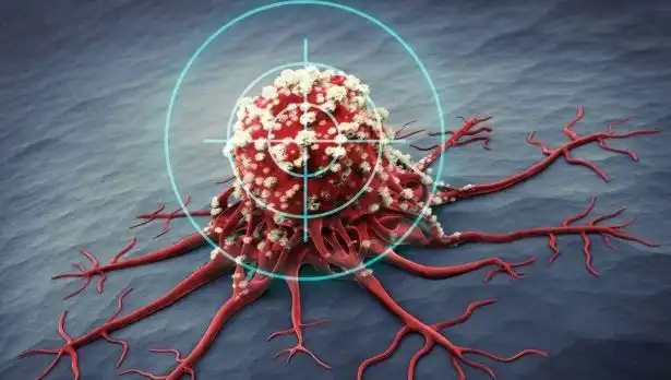 Prostat Kanseriyle Mücadelede Etkili 6 Besin: Bilimin Önerileri