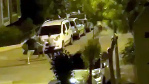 Avcılar'da 3 Kişinin Saldırısına Uğrayan Adamı Çevredekiler Kurtardı!
